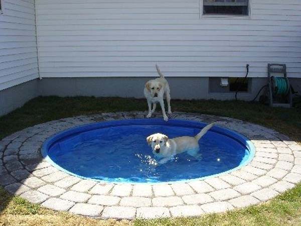 6. A Small Pool Can Be Refreshing