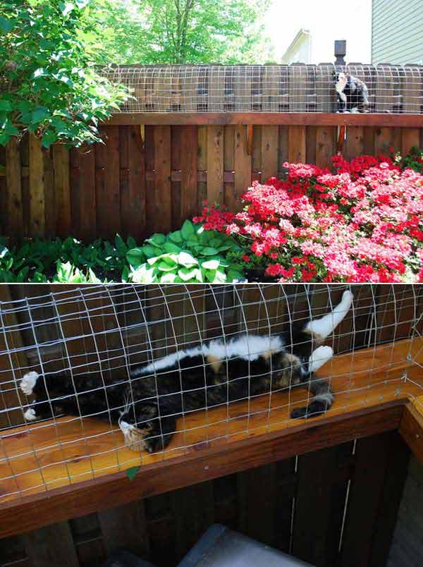 7. Outdoor Cat System by The Fence