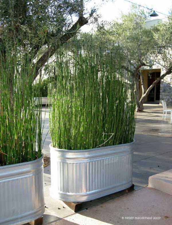 16. HUGE BUCKETS WITH TALL GRASS