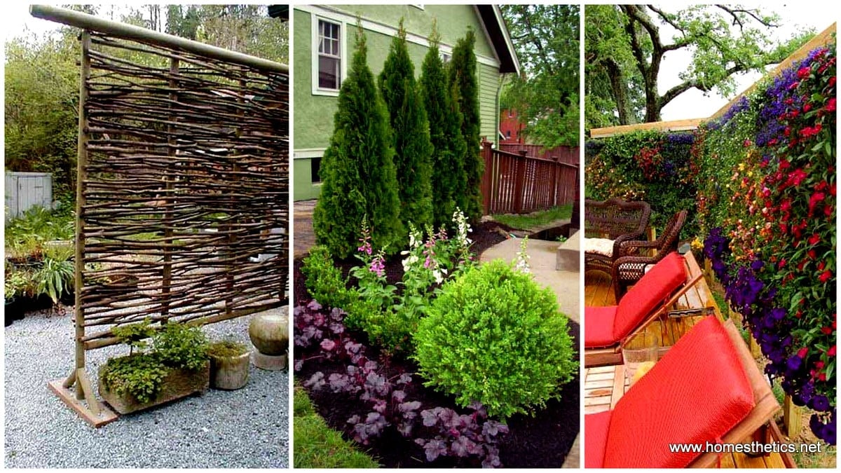 22 Simply Beautiful Low Budget Privacy Screens For Your Backyard