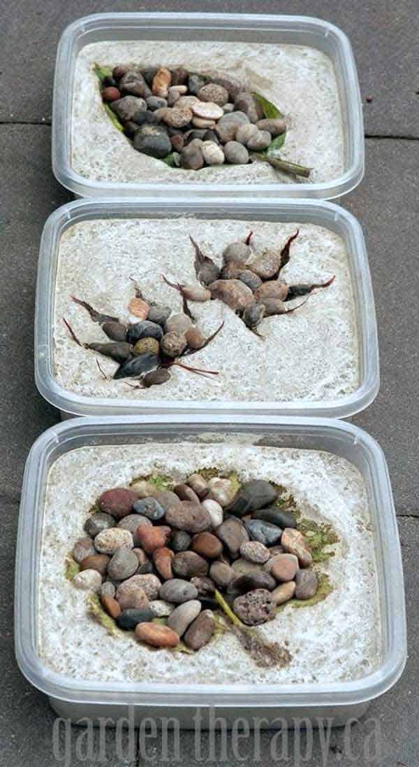 23 Mesmerizing DIY Stepping Stones to Realize for Your Backyard homesthetics decor (4)