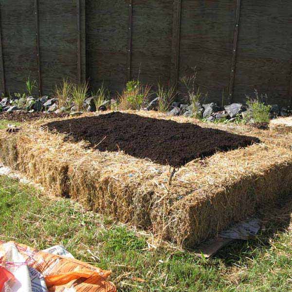 27+ DIY Garden Bed Edging Ideas Ready to Emphasize Your Greenery homesthetics backyard landscaping (18)