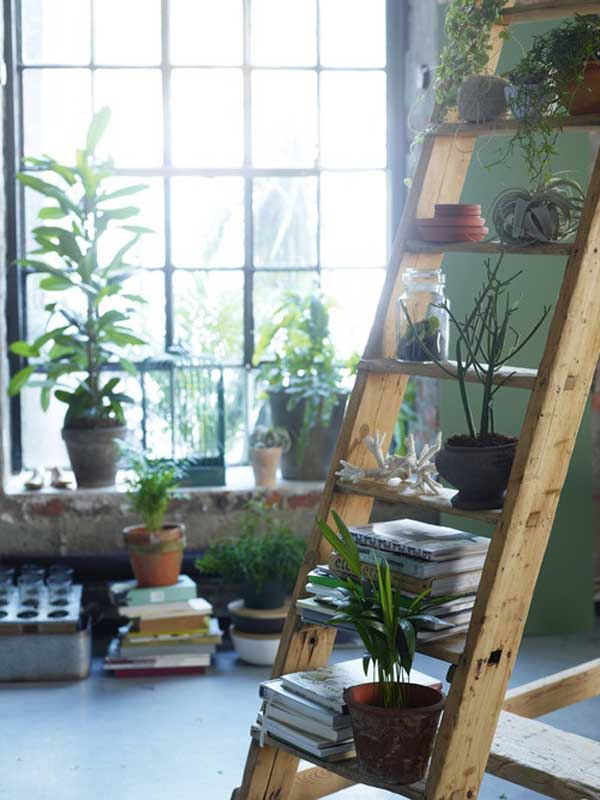 38 Ingenious Ways to Up-cycle Repurpose and Reuse Vintage Ladders homeshetics decor (27)