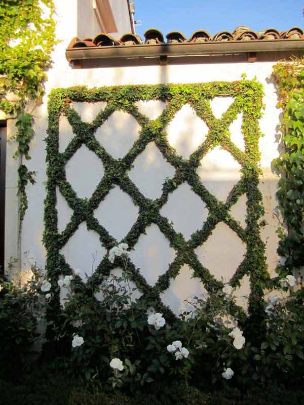 Get Creative With These 23 Fence Decorating Ideas and Transform Your Backyard homesthetics design (25)