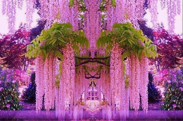 beautiful flower gardens of the world