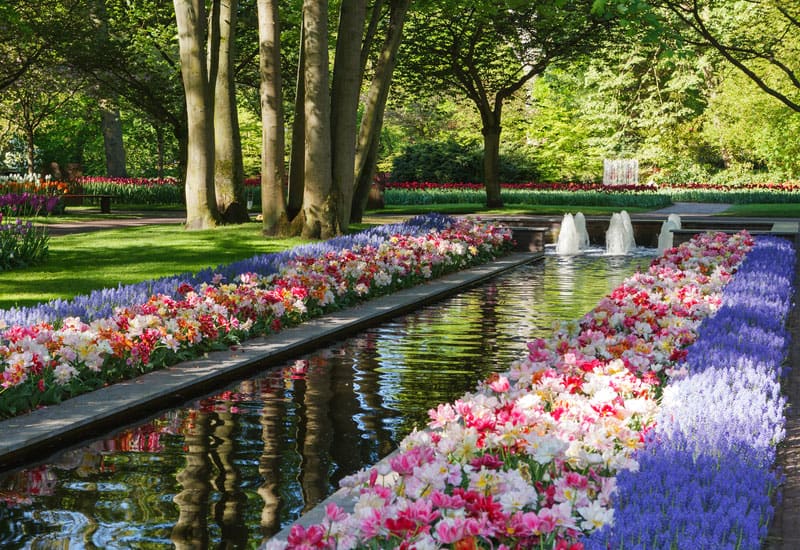 The Most Beautifully Designed Flower Gardens