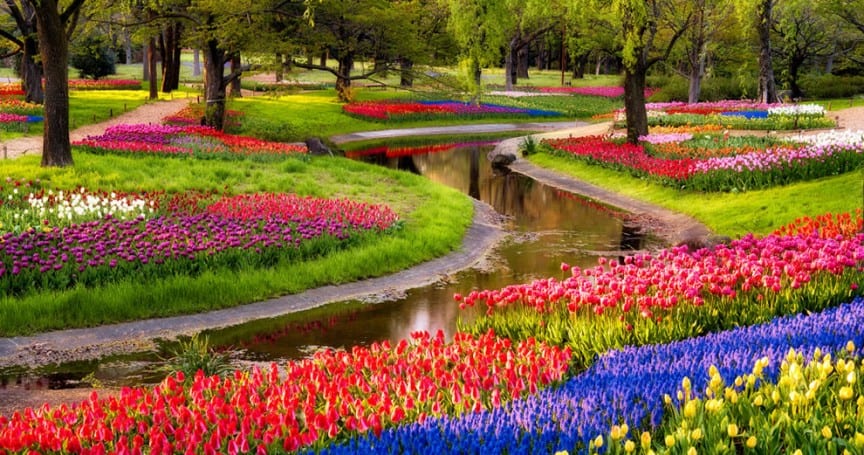 20 Of The Most Beautiful Nature Made And Man Made Flower Gardens In The World (20)