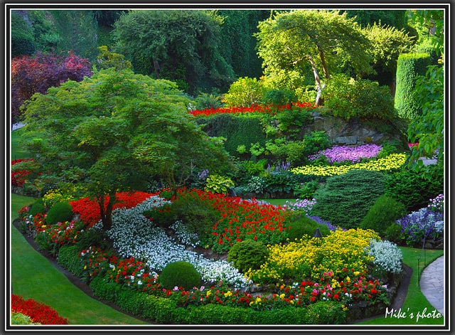 20 Of The Most Beautiful Nature Made And Man Made Flower Gardens In The World (7)