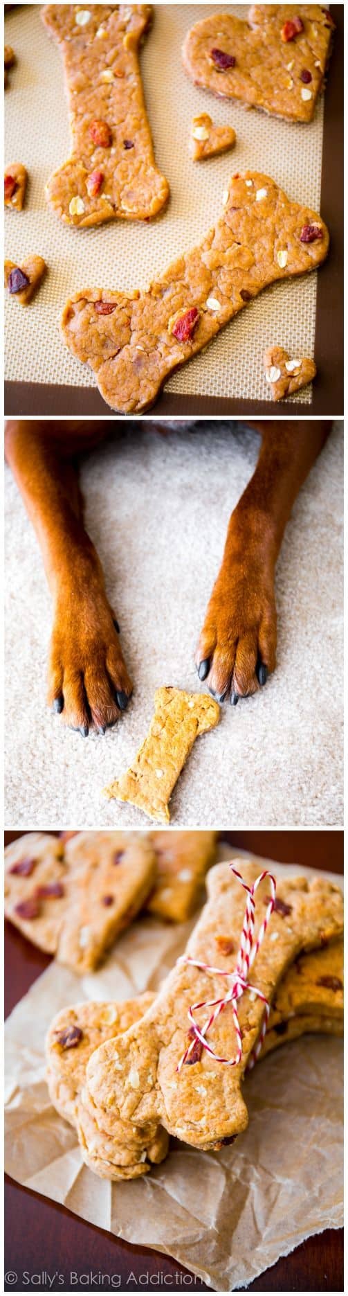 #2 MAKE AND SELL YOUR OWN DOG TREATS RIGHT FROM HOME