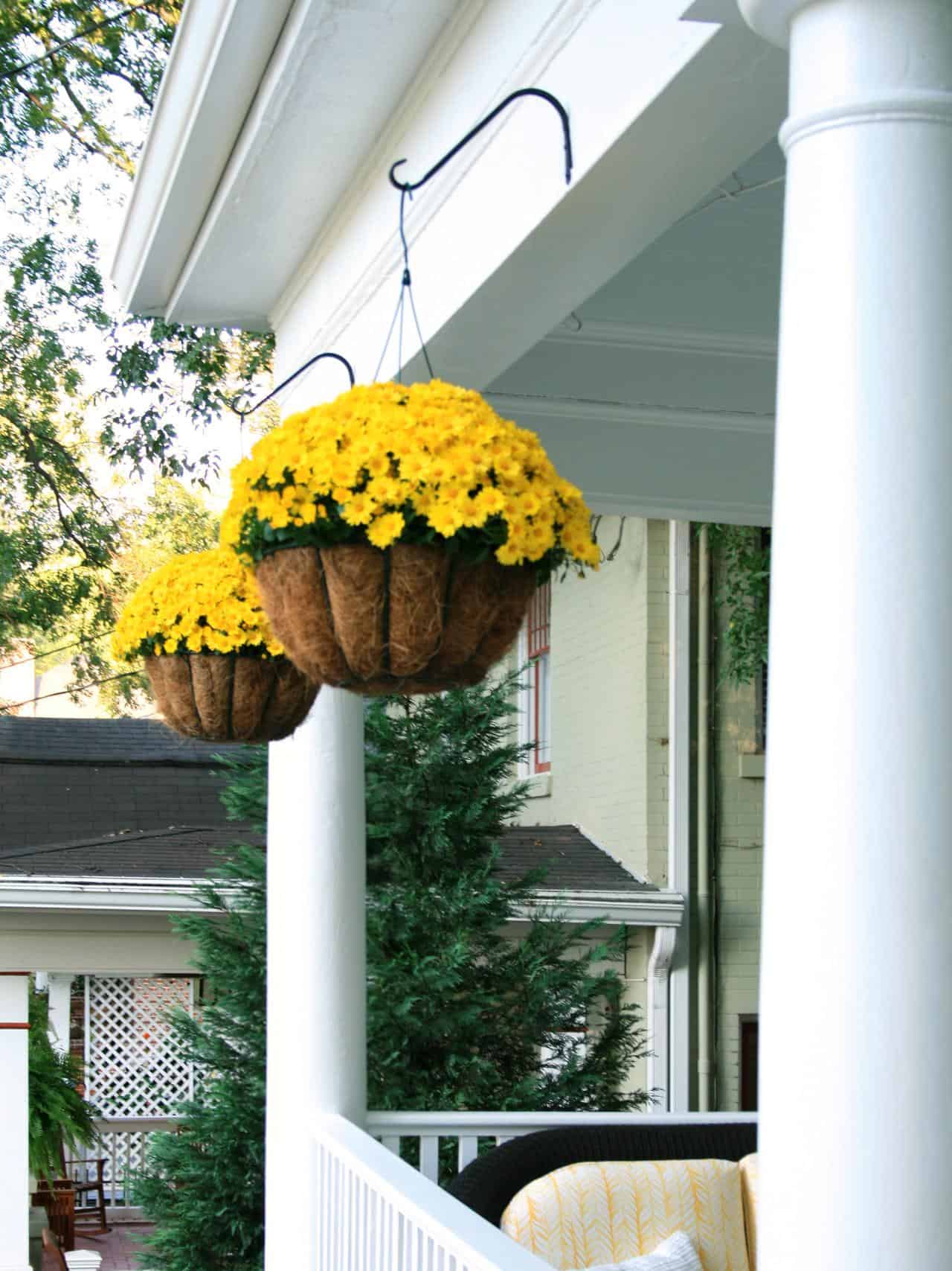 16 Hanging Flower Pot Plant Ideas To Enhance Your Veranda And Home