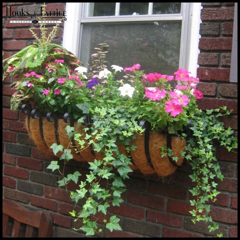 29 Hanging Flower Pot Plant Ideas To Enhance Your Verandah And Home Surroundings