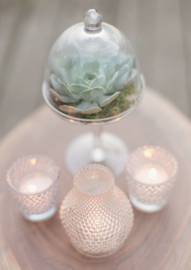 #19 beautify through a simple succulent protected by a cloche bell