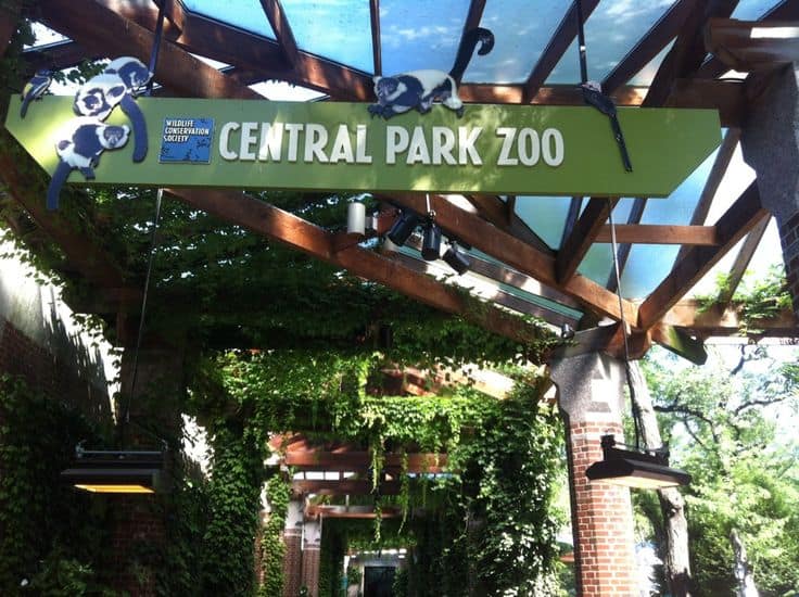 #23 Central Park Zoo opened in 1964 for the conservation of wildlife