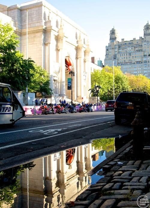 #27 The American Museum of Natural History in Manhattan is one of the largest museums in the world