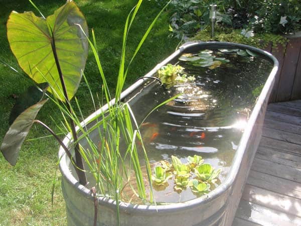 #19  USE AN OLD GALVANIZED BATHTUB TO CREATE YOUR OWN RAISED POND