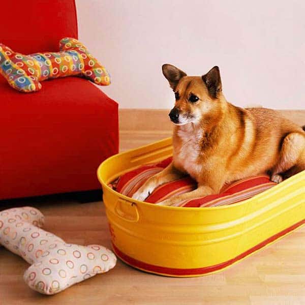 #30  YOUR PET MIGHT MAKE USE OF A AN OLD TINY BATHTUB