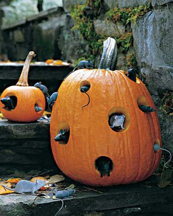 #36 ADD PLASTIC RODENTS TO PUMPKINS