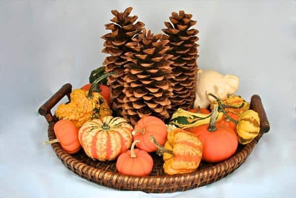 19 Neat Inexpensive DIY Thanksgiving Decoration For Every Household homesthetics decor (4)