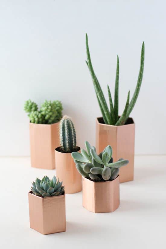 CREATE YOUR OWN PLANT POTS MADE OF COPPER FOR YOUR SUCCULENTS