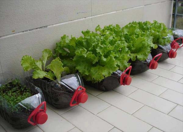 18. plant your herbs in plastic bottle halves