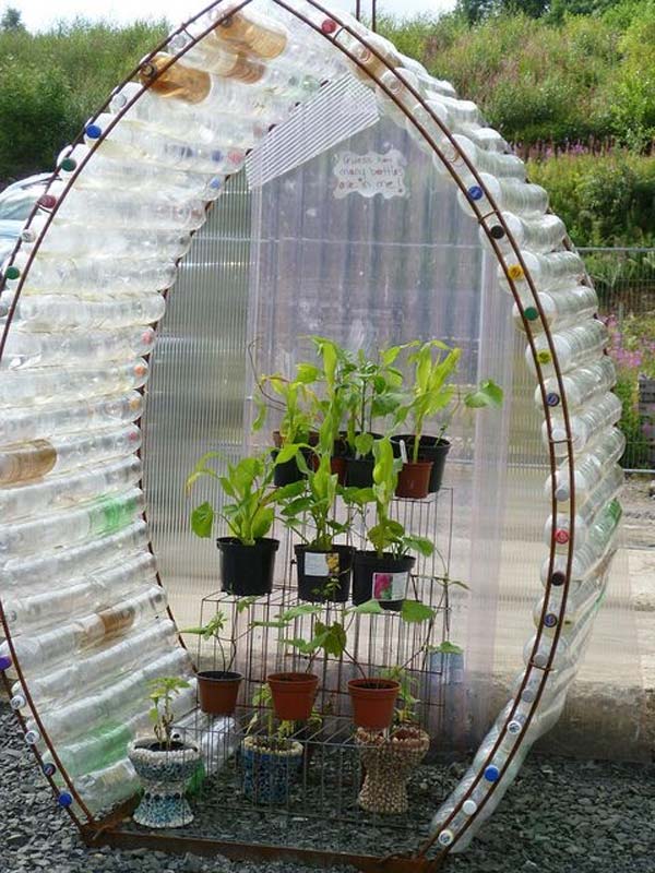 3. grow your plants in a plastic covered greenhouse