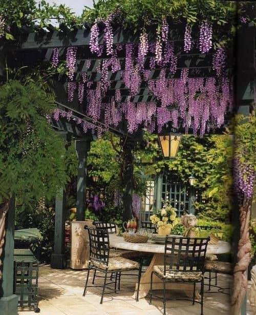 What is a Pergola? 44 Inspiring Pergola Design Ideas & Pergola Types Explained