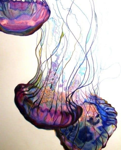  JELLY FISH IN MOVEMENT 