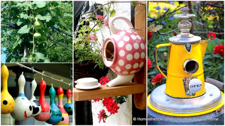 12 Simple and Ingenious DIY Birdhouse Ideas for Your Garden