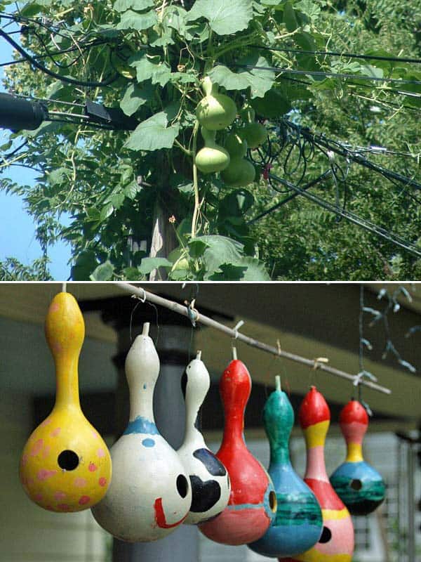 Simple_and Ingeniou_ DIY_Birdhouse_Ideas_for_Your_ Garden_homesthetics_diy (16)