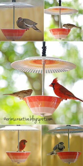  DIY BIRD FEEDER