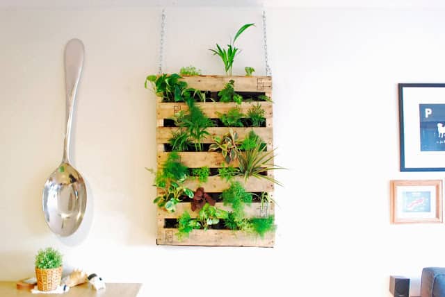 WALL HANGING KITCHEN GARDEN