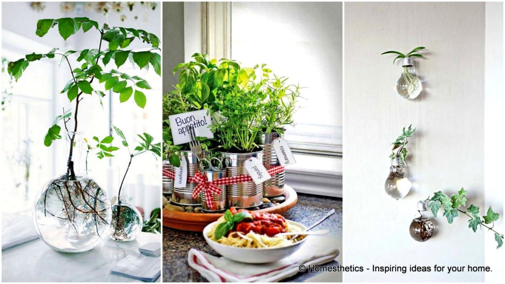 24 Of The Most Beautiful Ideas On Indoor Mini Garden To Collect