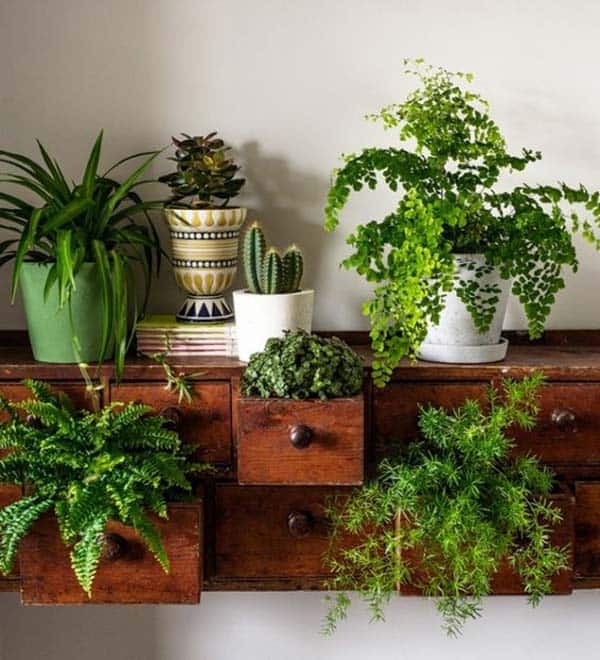 24 of The Most Beautiful Ideas on Indoor Mini Garden to Collect homesthetics (10)