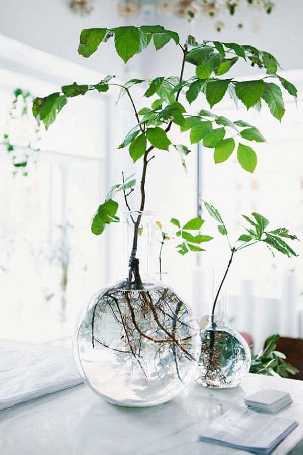 24 of The Most Beautiful Ideas on Indoor Mini Garden to Collect homesthetics (2)