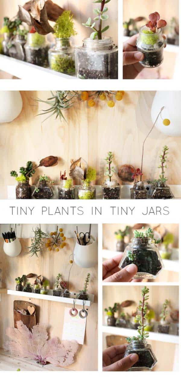 24 of The Most Beautiful Ideas on Indoor Mini Garden to Collect homesthetics (25)