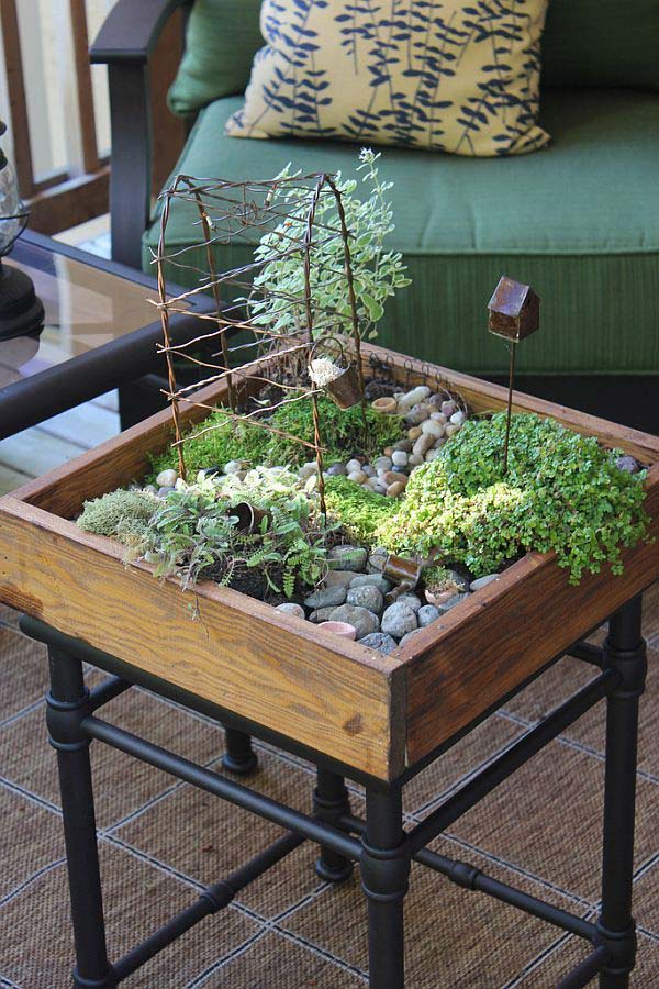 24 of The Most Beautiful Ideas on Indoor Mini Garden to Collect homesthetics (26)