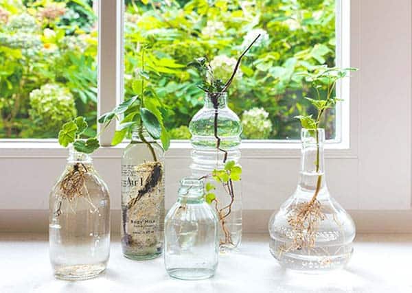 24 of The Most Beautiful Ideas on Indoor Mini Garden to Collect homesthetics (3)