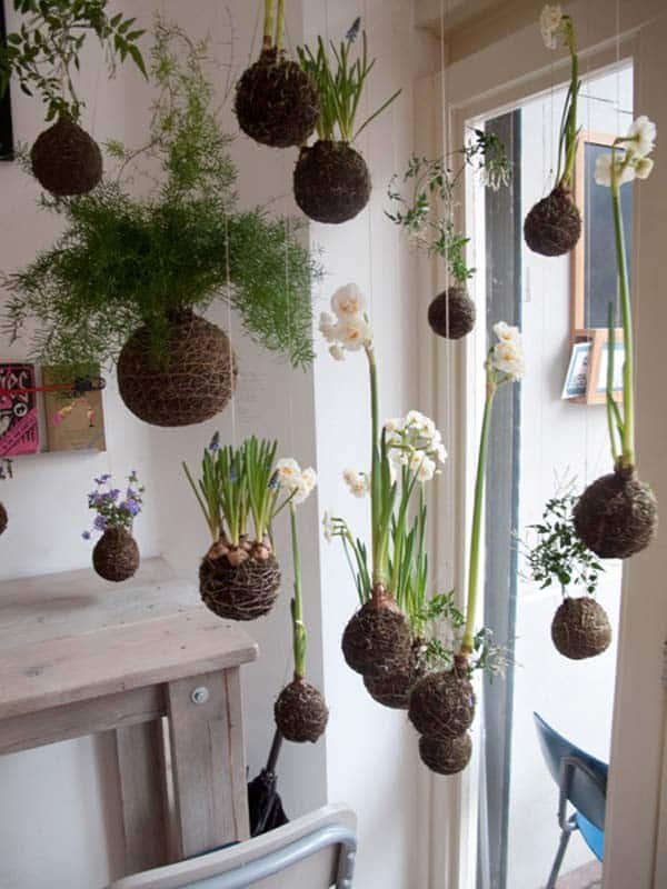 24 of The Most Beautiful Ideas on Indoor Mini Garden to Collect homesthetics (5)