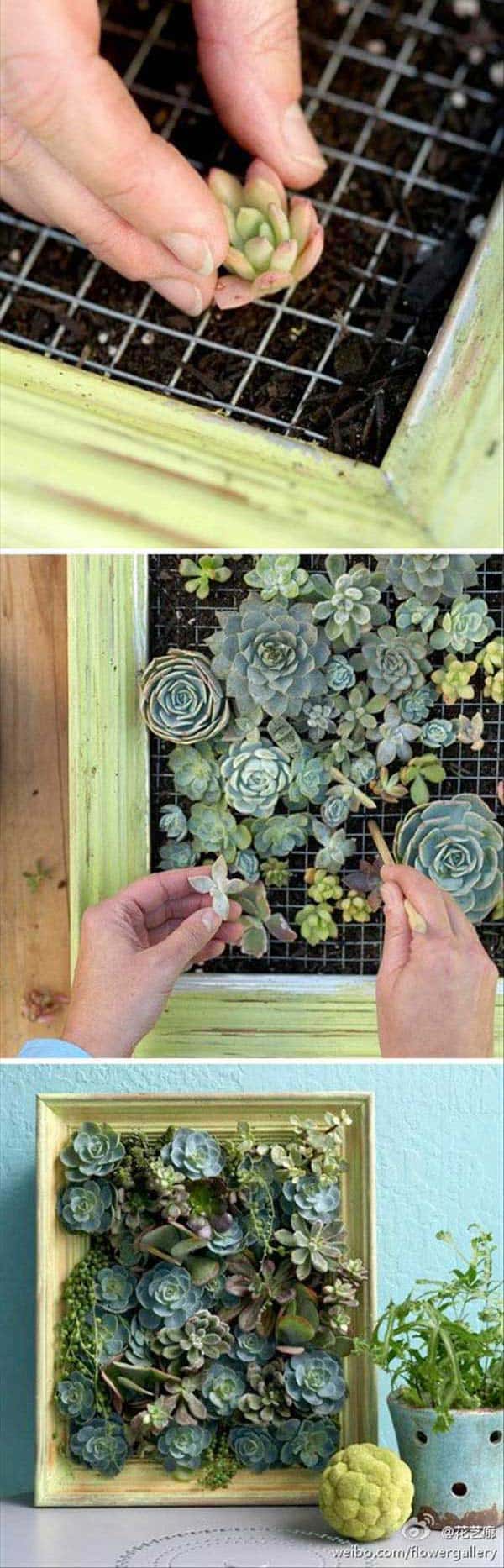 24 of The Most Beautiful Ideas on Indoor Mini Garden to Collect homesthetics (7)