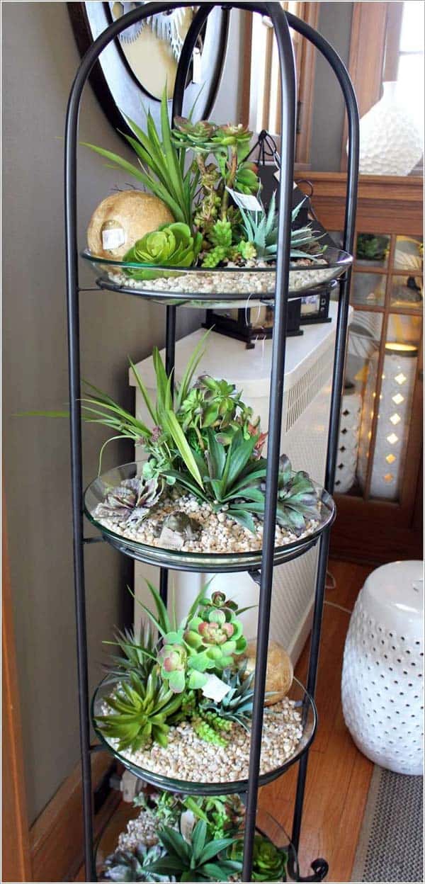 24 of The Most Beautiful Ideas on Indoor Mini Garden to Collect homesthetics (9)