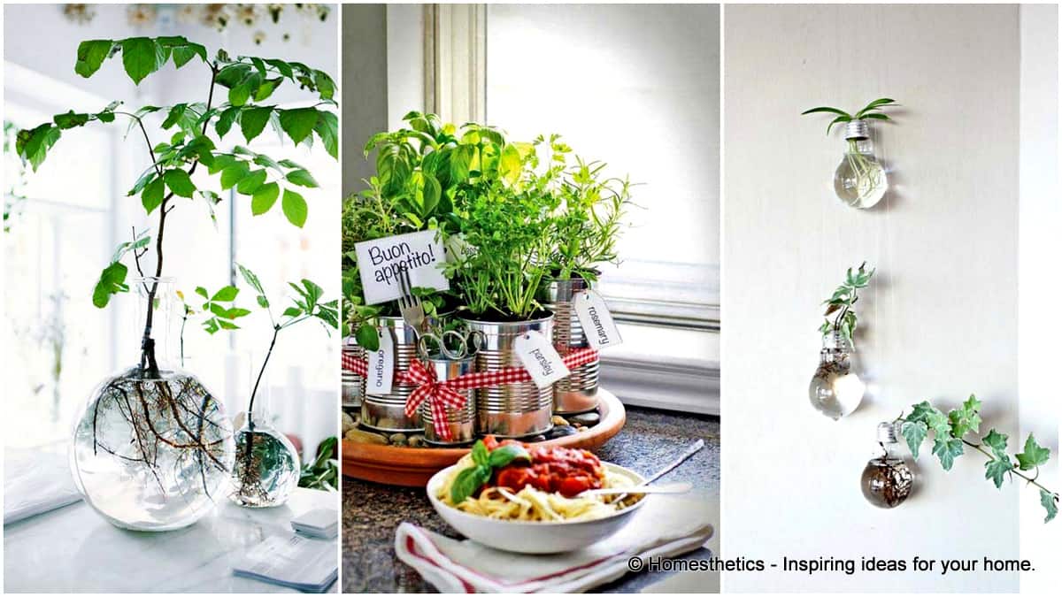 24 of The Most Beautiful Ideas on Indoor Mini Garden to Collect