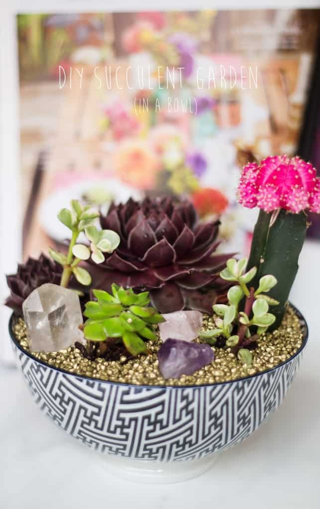 Gorgeous Succulent Planters Instantly Beautifying Your Home-homesthetics (20)
