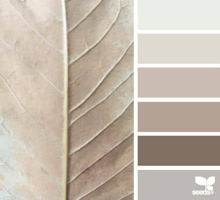 taupe color mood board inspiration 