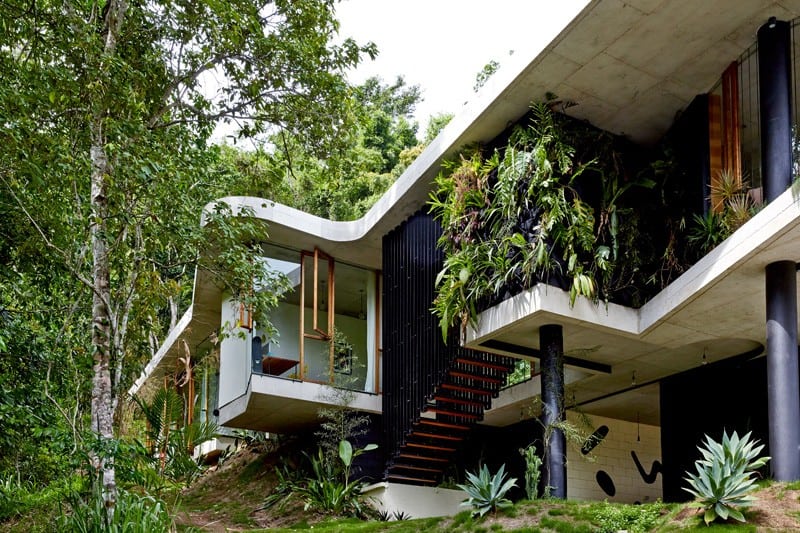 Tropical-Planchonella-House-in-Australia-Defined-by-Sculptural-Concrete-homesthetics-2