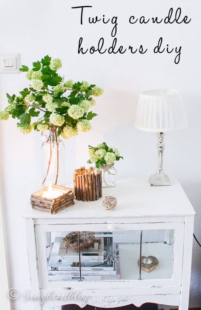 Adorne Your Home With DIY Twig Decorations-homesthetics (7)