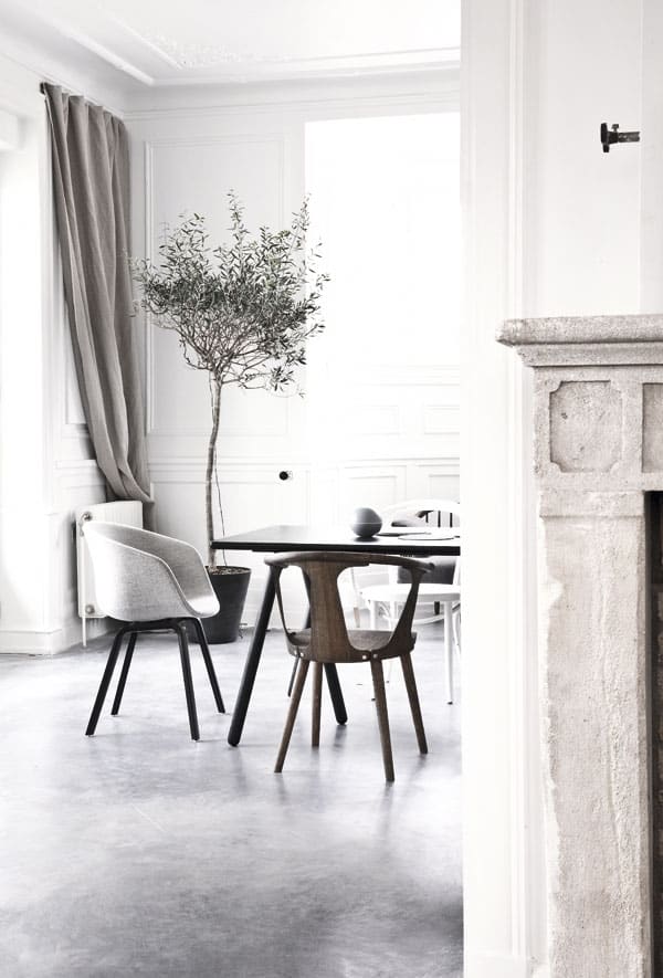 olive tree will complement a modern minimal approach to interior design