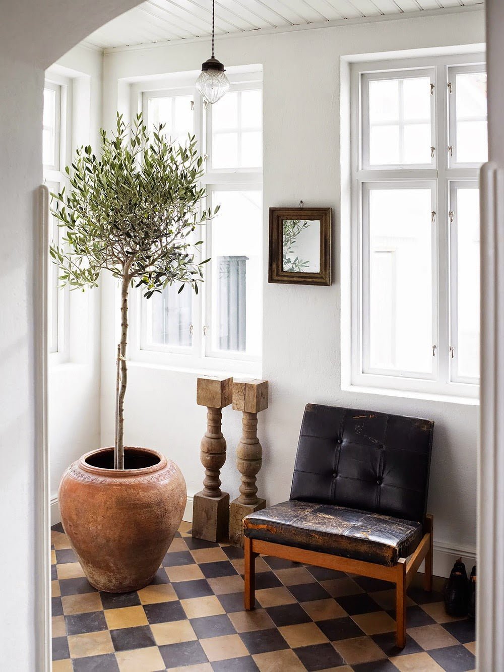Mediterranean vibe brought in a home through an olive tree