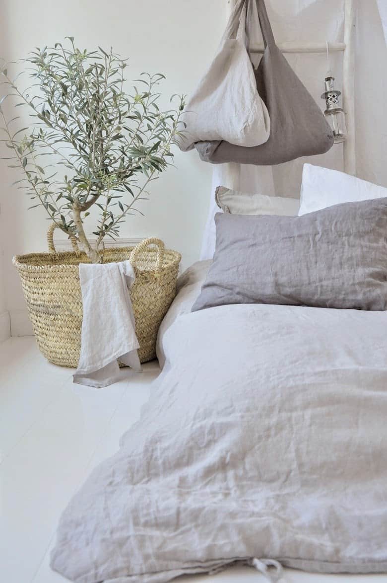 n olive tree placed near your bed