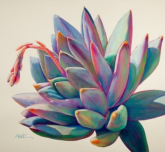 19. COLORFUL FUN TOUCHES DEPICTING A SUCCULENT PLANT