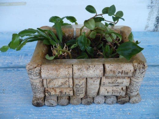 USE YOUR STACK OF CORKS TO COMPOSE A PLANTER